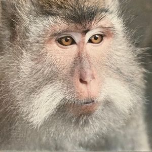 Photos from travels around the world!